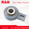 R&amp;B sprag freewheel  backstop clutch RSBW20/GVG20 apply in Grain hoist